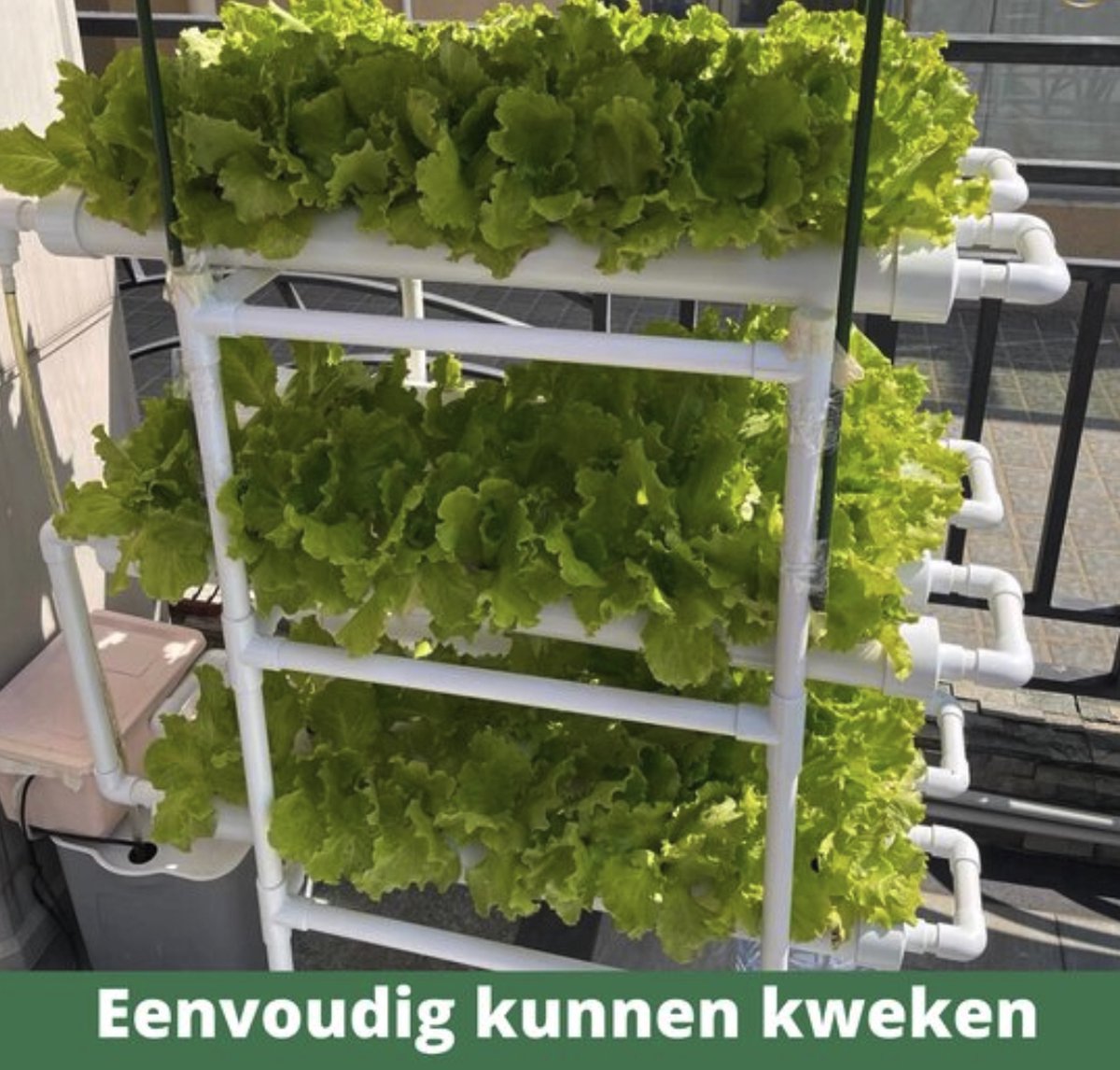 Hydrocultuur