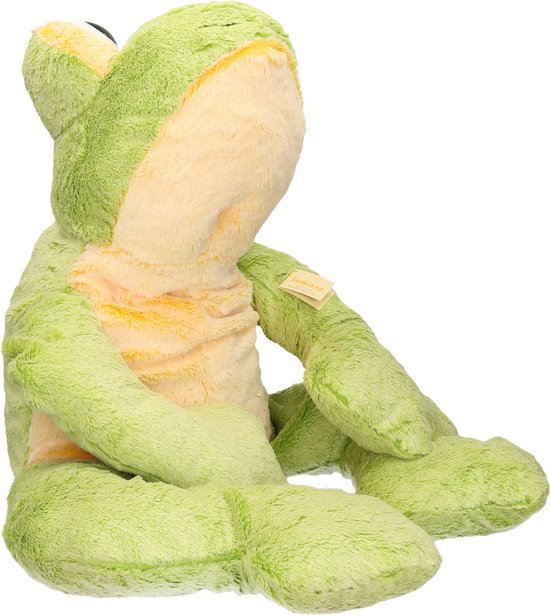 Schattige Groene Kikker Met Een Hotdogtekenfilm Geïsoleerd Op Witte Achtergrond Vector