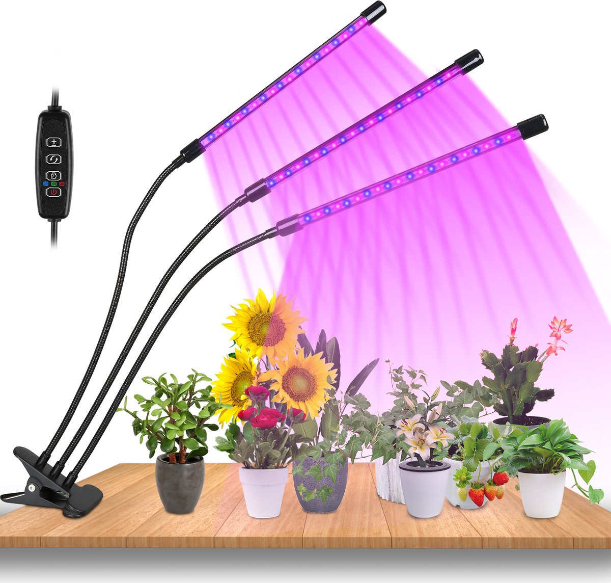 Factory Price Full Spectrum LED Verlichting Voor Planten LEDs