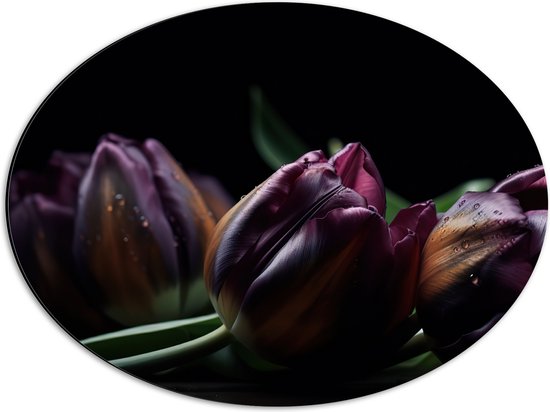 Dibond Ovaal - Paarse Tulpen in het Donker - Bloemen - 56x42 cm Foto op Ovaal (Met Ophangsysteem)