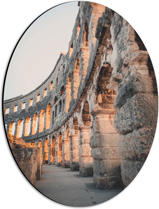 Dibond Ovaal - Zonlicht vallend op de Muren van het Colosseum, Rome - 30x40 cm Foto op Ovaal (Met Ophangsysteem)