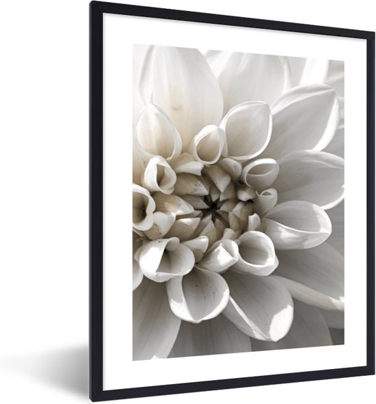 FrameYourWall® - Fotolijst met poster 60x80 - Bloemen - Wit - Natuur - Botanisch - Fotokader van hout - Kaders en lijsten - Houten fotolijstje - Wissellijst voor muurposter - Picture en photo frame - Posterlijst - Fotohouder