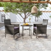 The Living Store Tuinset - Poly rattan - Grijs - 45 x 45 cm - 52 x 57 x 84 cm