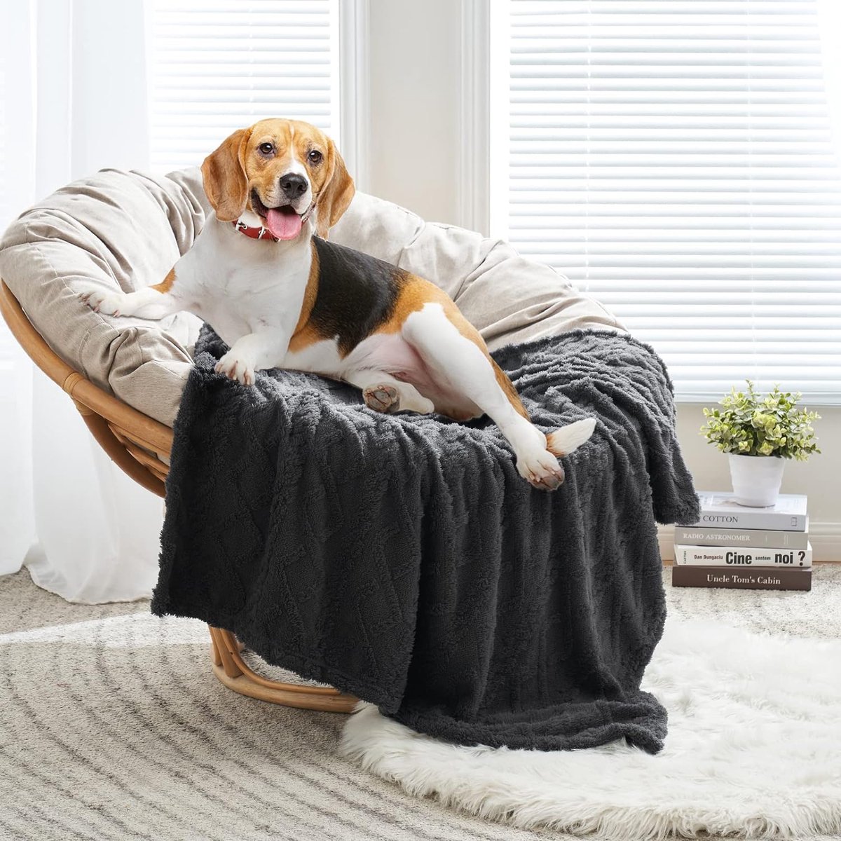 Couverture pour chien, couverture en polaire douce pour chiens de grande  taille