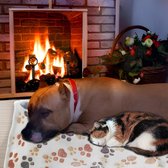 Hondendeken, wasbaar, zachte deken, 3 stuks knuffeldeken voor hond, wollig, kattendeken, hondenmat voor onderweg, zachte huisdierdeken, slaapmat voor kleine middelgrote honden en katten (60 x 40 cm)