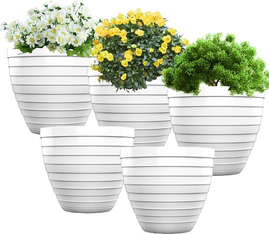 Petits pots de fleurs décoratifs, petits pots de fleurs pour cactus, 15 cm  (5 pièces),... | bol