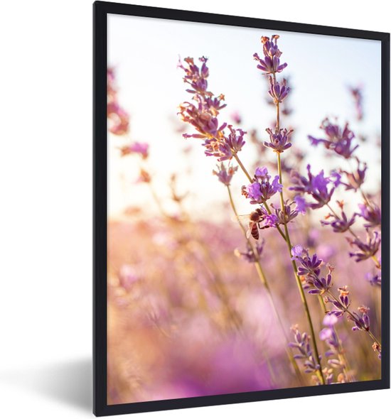 Affiche - Cadre photo - Fleurs - Lavande - Abeille - Soleil - Lumière - Cadre affiche - Cadre - Cadre - 30x40 cm - Affiche lavande - Affiche avec cadre - Décoration chambre