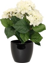 Hortensia kunstplant met bloemen wit - in pot zwart - 40 cm hoog