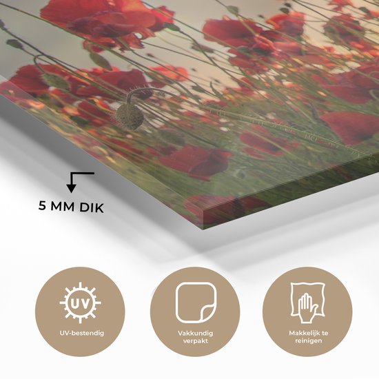 Peinture sur verre Fleurs - Coquelicots - Rouge - Coucher de soleil - Peintures de salon - Photo sur verre - Plaque de verre - Décoration de chambre - 120x80 cm - Décoration murale - Décoration murale - Chambre - Peinture sur verre