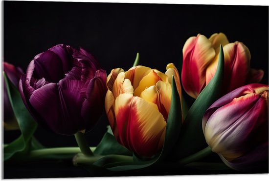 Acrylglas - Diverse Gekleurde Tulpen in het Donker - Bloemen - 90x60 cm Foto op Acrylglas (Wanddecoratie op Acrylaat)