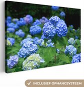 Canvas Schilderij Blauwe hortensia bloemen - 90x60 cm - Wanddecoratie