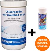 Interline Chloorshock 1 kg - Inclusief 25 chloor & pH teststrips - Chloorgranulaat voor zwembad - Chloorshock - Inclusief doseerschema