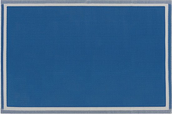 ETAWAH - Outdoor kleed - Blauw - 120 x 180 cm - Polypropyleen