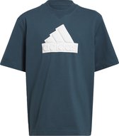 adidas Sportswear Future Icons Logo Piqué T-shirt - Kinderen - Turquoise- 164