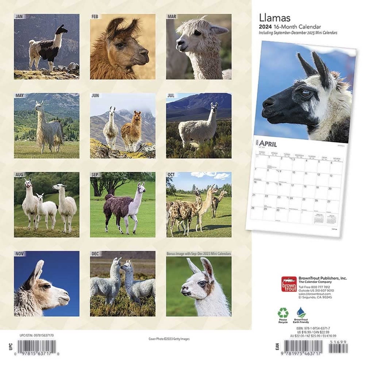Llamas Kalender 2024