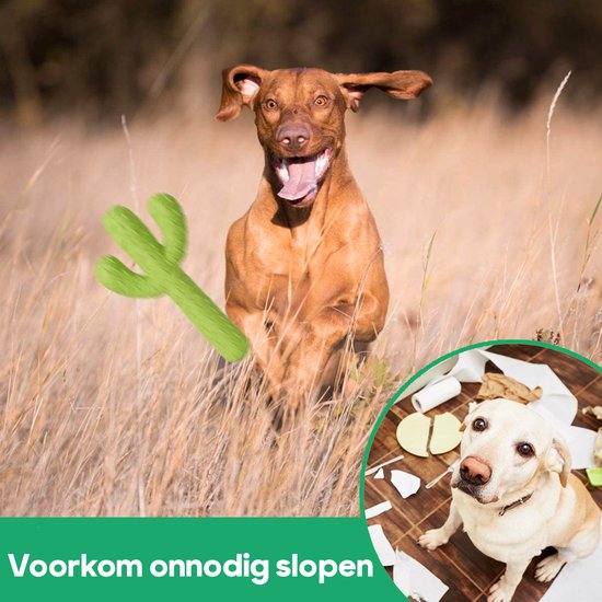 Tocan ® Cactus Honden Tandenborstel Speelgoed - Honden Speelgoed - Tandenborstel Hond - Kauw Speelgoed -Hond Gebitsreiniging - Interactief Speelgoed - Honden Speeltjes - Honden Intelligentie Speelgoed - Diervriendelijk - Dierendag - Tocan