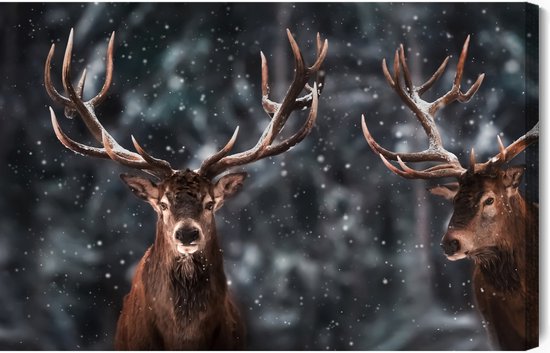 Painting King - Tableau sur toile Deux beaux cerfs - 30 x 20 cm