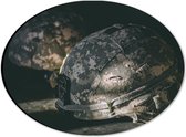 Dibond Ovaal - Twee Helmen van Soldaten - 28x21 cm Foto op Ovaal (Met Ophangsysteem)