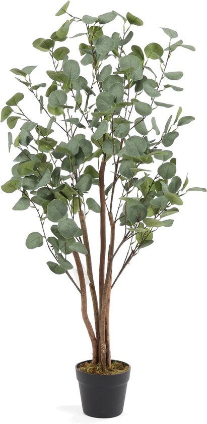 Art Eucalyptus Koala | 120cm - Faux eucalyptus - Plantes artificielles pour l'intérieur - Plante d'eucalyptus artificielle