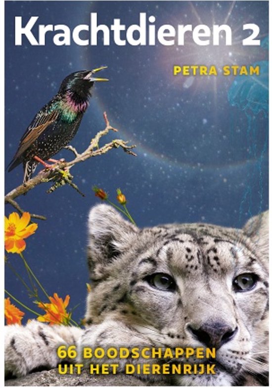 Krachtdieren Kaartenset