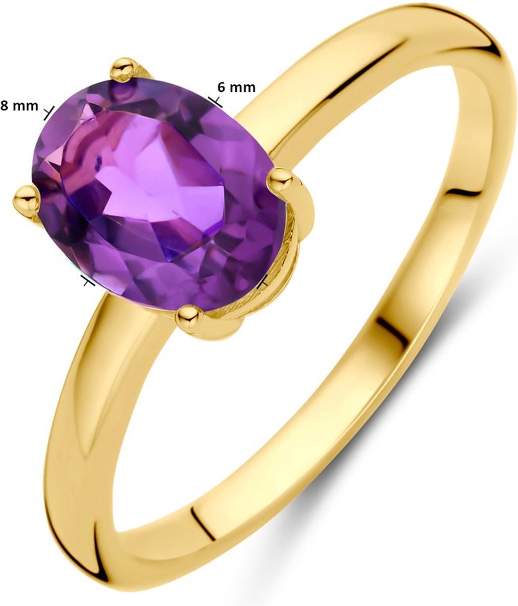 14K Geelgoud Ring Amethist 4028722