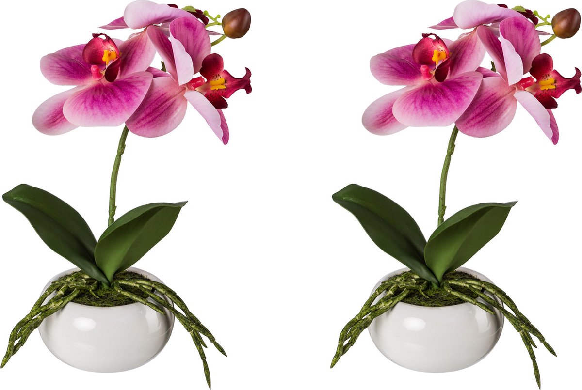 Kopu Set 2 stuks Kunstplant Mini Orchidee 27 cm in witte Sierpot - Roze
