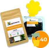 Verpakking met 10 miljoen Steinernema feltiae aaltjes, 2.500 Hypselemus miles roofmijten en 20 gele vangplakjes.