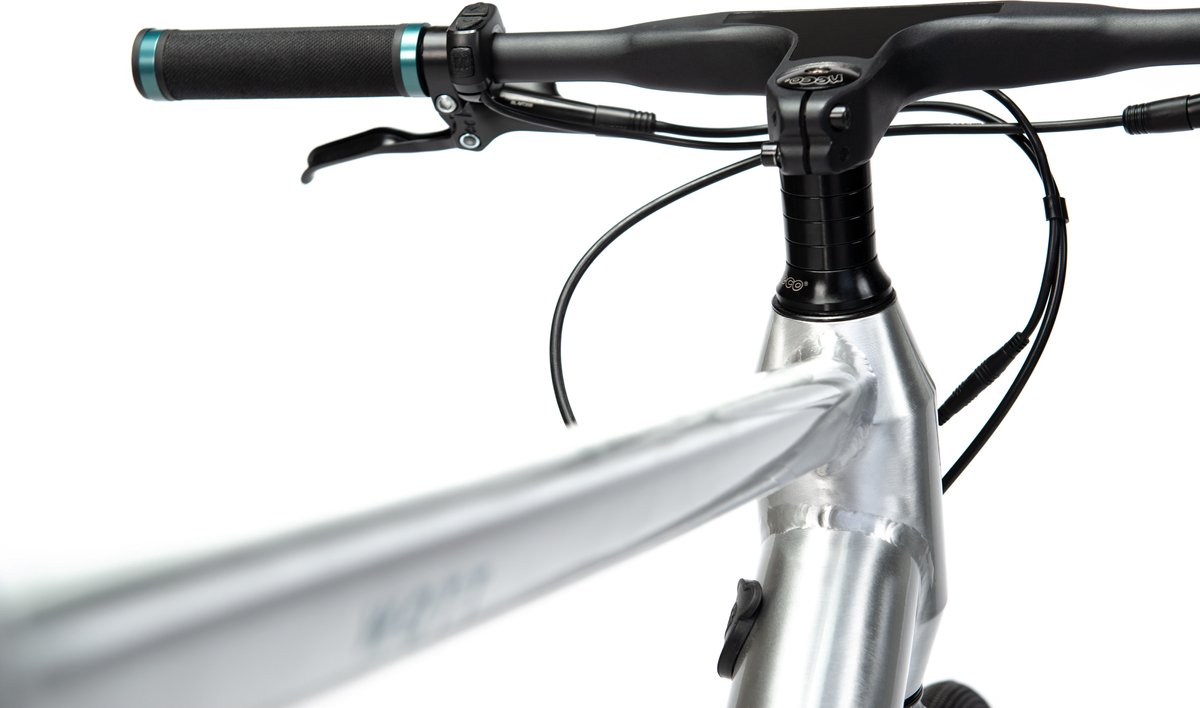 Watt Watt Brooklyn e-bike heren - retro design, licht, 250W thumbnail 6