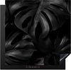 Zwart, Monstera