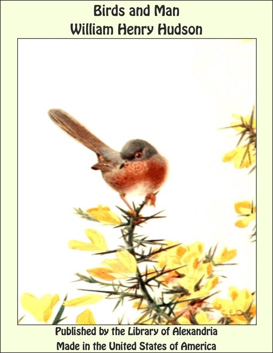 Birds and Man - cover