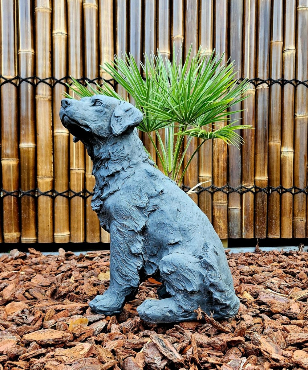Tuinbeeld Hond voor Buiten - Dierenbeeld – Donker Decoratie Beeld voor Binnen en Buiten – Herdenking Hond - 46cm Hoog