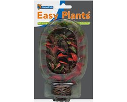 Superfish easy plants premier plan n ° 7, en plastique 13 cm - 1 PC