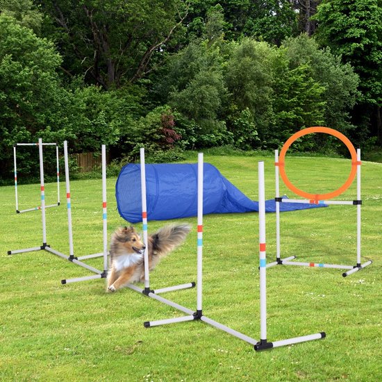 PawHut Dog Agility Trainingsuitrusting, Dog Agility Set, 4-delige push-in hordeset voor oudere honden, hondentrainingsset met draagtas, blauw oranje, 88 x 64 x 95 cm PawHut Dog Agility Trainingsuitrusting, Dog Agility Set, 4-delige push-in hordeset voor oudere honden, hondentrainingsset met draagtas, blauw oranje, 88 x 64 x 95 cm