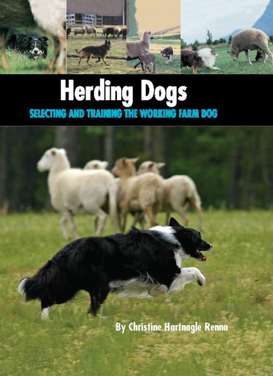 Herding Dogs - cover