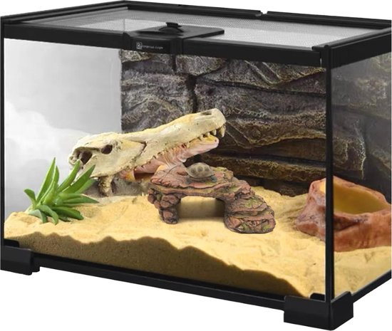 Vind terrarium landschildpad in Dieren en Toebehoren op