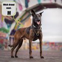 Bruine maltezer hond draagt een zwart hondentuig maat M. Hond staat buiten voor een kleurrijke muur.