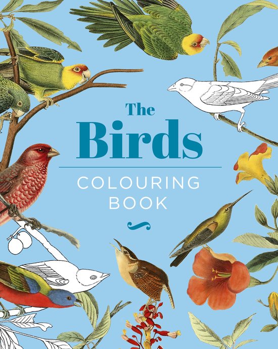 Hardback Vintage Colouring-The Birds Colouring Book - cover