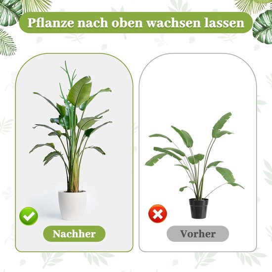 Informatie over watermeters | Onderhoud planten