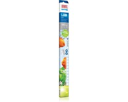 Juwel LED Day 9000k - Aquariumverlichting - 14 Watt - 590 mm - 1610 Lumen