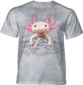 T-shirt Axolotl XL
