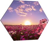 WallClassics - Dibond Hexagon - Veld Roze Bloemen met Paarse Lucht - 80x69.6 cm Foto op Hexagon (Met Ophangsysteem)