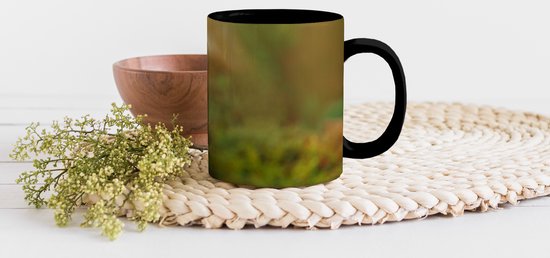 Mug Magique - Mug Photo sur Chaleur - Mug à Café - Animaux Sauvages - Herbe - Léopard - Nature - Mug Magic - Tasse - 350 ML - Mug à Thé