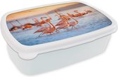 Broodtrommel Wit - Lunchbox - Brooddoos - Flamingo - Dieren - Water - Roze - 18x12x6 cm - Volwassenen