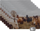 Placemat - Placemats kunststof - Dieren - Paard - Paarden - 45x30 cm - 6 stuks - Hittebestendig - Anti-Slip - Onderlegger - Afneembaar