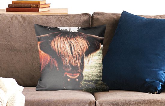 Sierkussen - Herbe écossaise Highlander - Multicolore - 45 Cm x 45 Cm