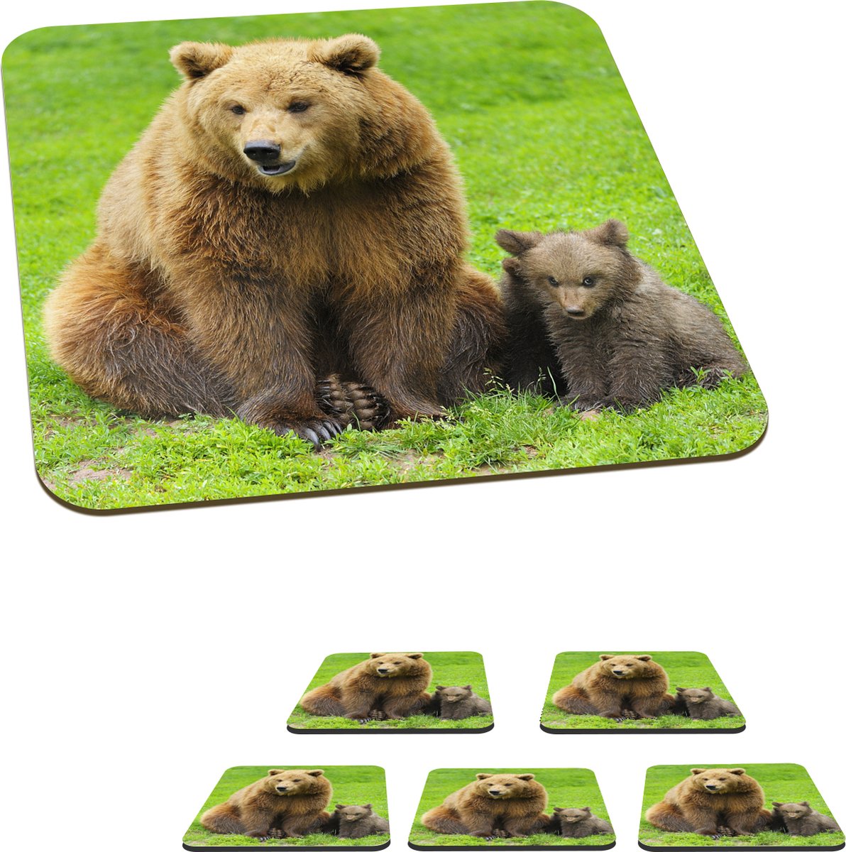 Onderzetters voor glazen - Beer - Gras - Welp - 10x10 cm - Glasonderzetters - 6 stuks