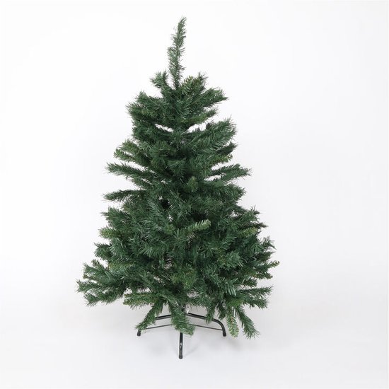 BUDGET Nordmann Kerstboom Extra Groot 220cm - 250cm