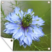 Tuin poster Close-up van een nigelle bloem - 200x200 cm - Tuindoek - Buitenposter