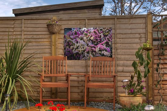 Une forêt avec la statice affiche de jardin fleuri 60x40 cm - petit - Toile de jardin / Toile d'extérieur / Peintures pour l'extérieur (décoration de jardin)