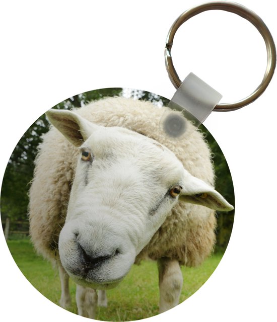 Sleutelhanger - Schaap - Grappig - Weiland - Kinderen - Jongens - Meisjes - Kind - Plastic - Rond - Uitdeelcadeautjes - Sinterklaas cadeautjes - Uitdeelcadeautjes voor kinderen - Schoencadeautjes - Kleine cadeautjes